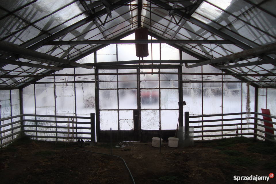 Szklarnie do rozbiórki 330 m2 małopolskie Bochnia