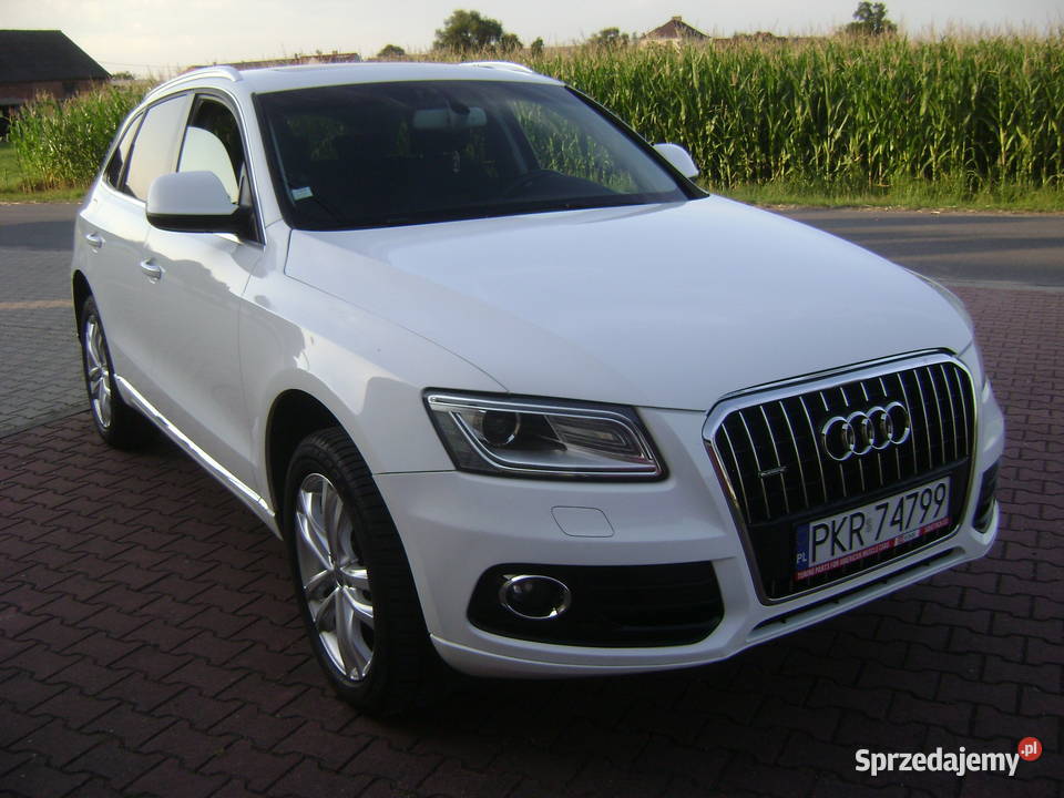 Sprzedam piękne Audi Q5Slinepakiet chrombiałe nieuszkodzony Krotoszyn