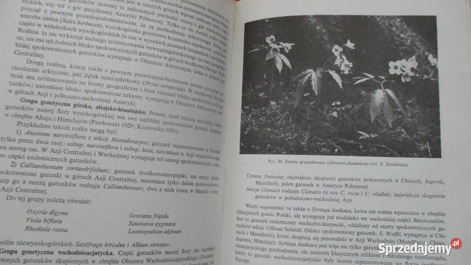 Szata roslinna Polski t1 Szafer Zarzycki1972r biologia, ekologia Łódź