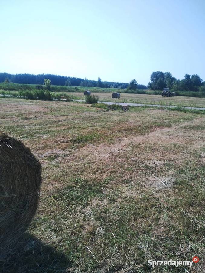 Sprzedam siano z tegorocznych pokosów