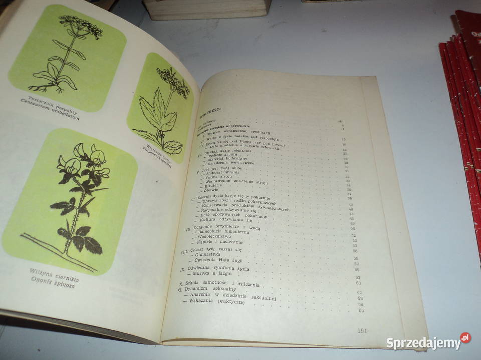 Wróćmy doo ziół Czesław Klimuszko Poradniki, albumy i reportaże Nowy Sącz sprzedam