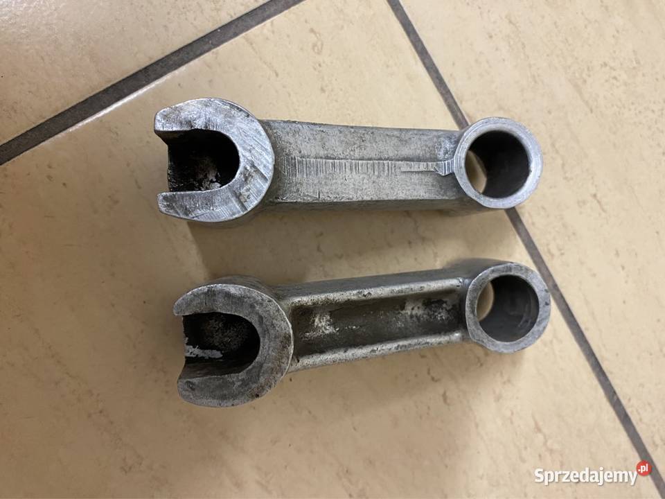 Klin koła Pannonia Panonia Bolesławiec