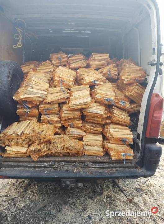 Rozpałka sosnowa zachodniopomorskie