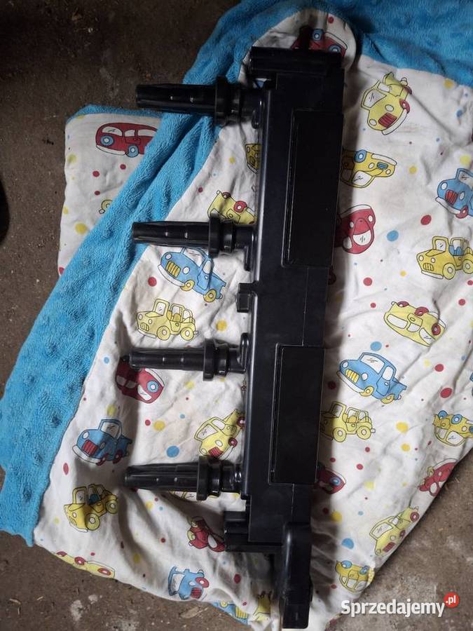 Cewki na listwie kujawsko-pomorskie