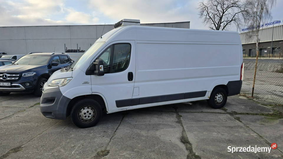 Fiat Ducato Chłodnia Szczecin sprzedam