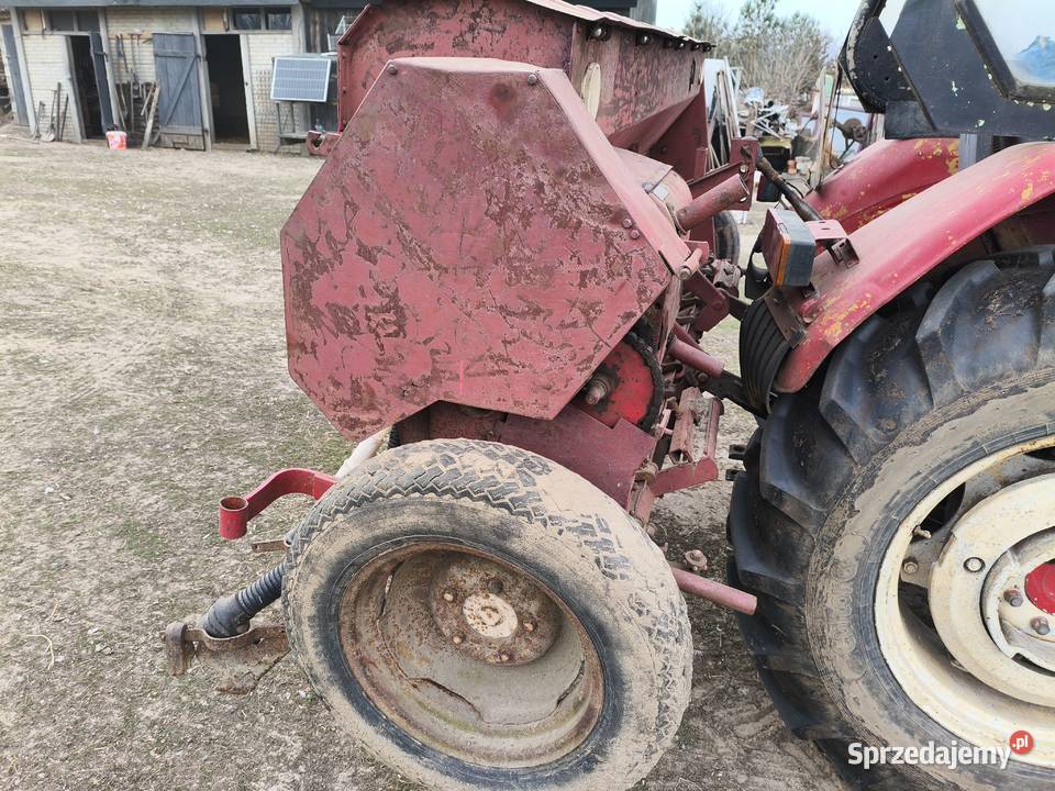 Siewnik Poznaniak łódzkie sprzedam
