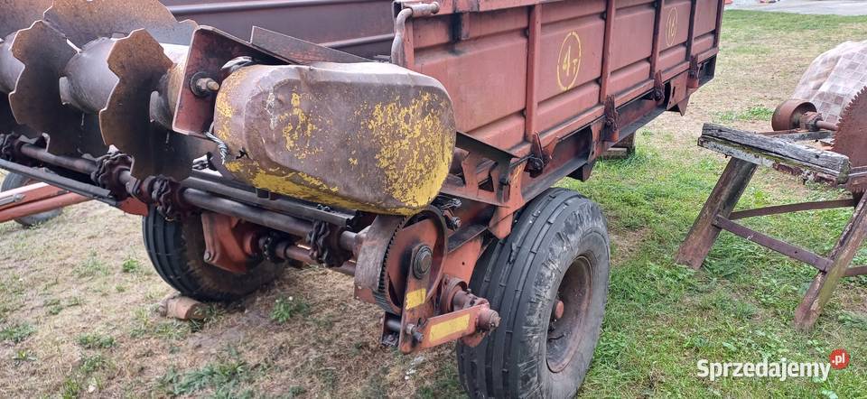 Rozrzutnik obornika Szczucin