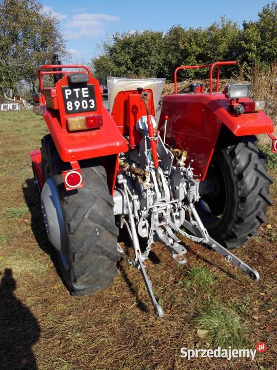 Massey Ferguson MF255 w Orginale 1984 okazja