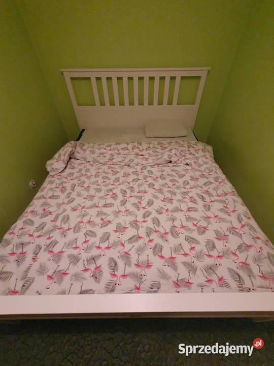 samodzielne mieszkanie Koło