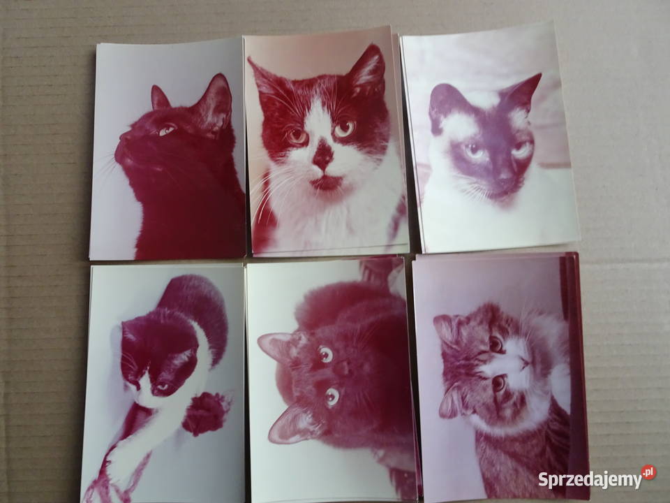 Pocztowki na papierze fotograficznym sztuk a 2