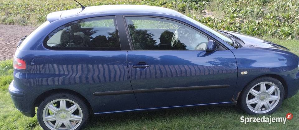 Seat Ibiza 14 16v 75 sprowadzony Dziarnowo