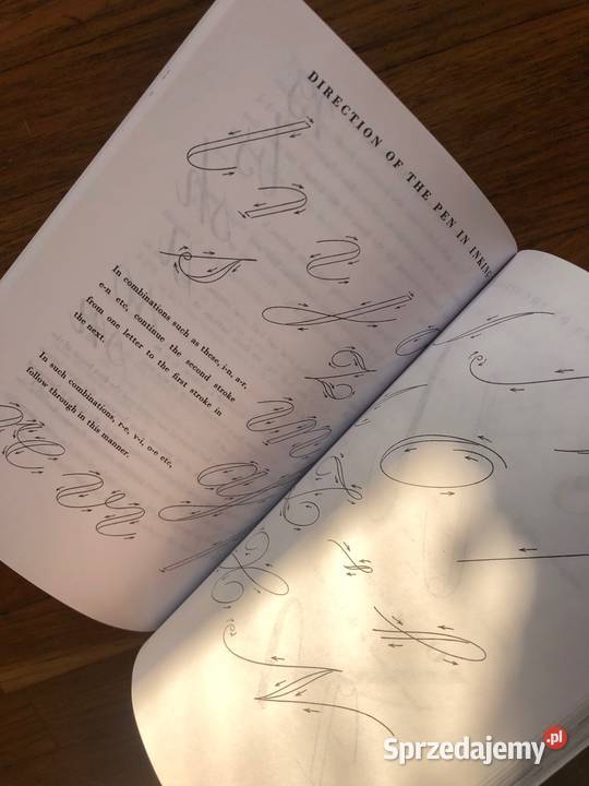 Script Lettering for Artists Tommy Thompson miękka Szramowo
