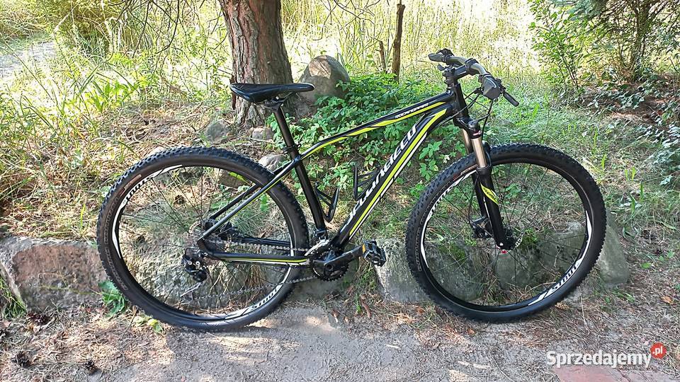 Alu Rower Górski Mtb Specialized Rockhopper dolnośląskie Wołów