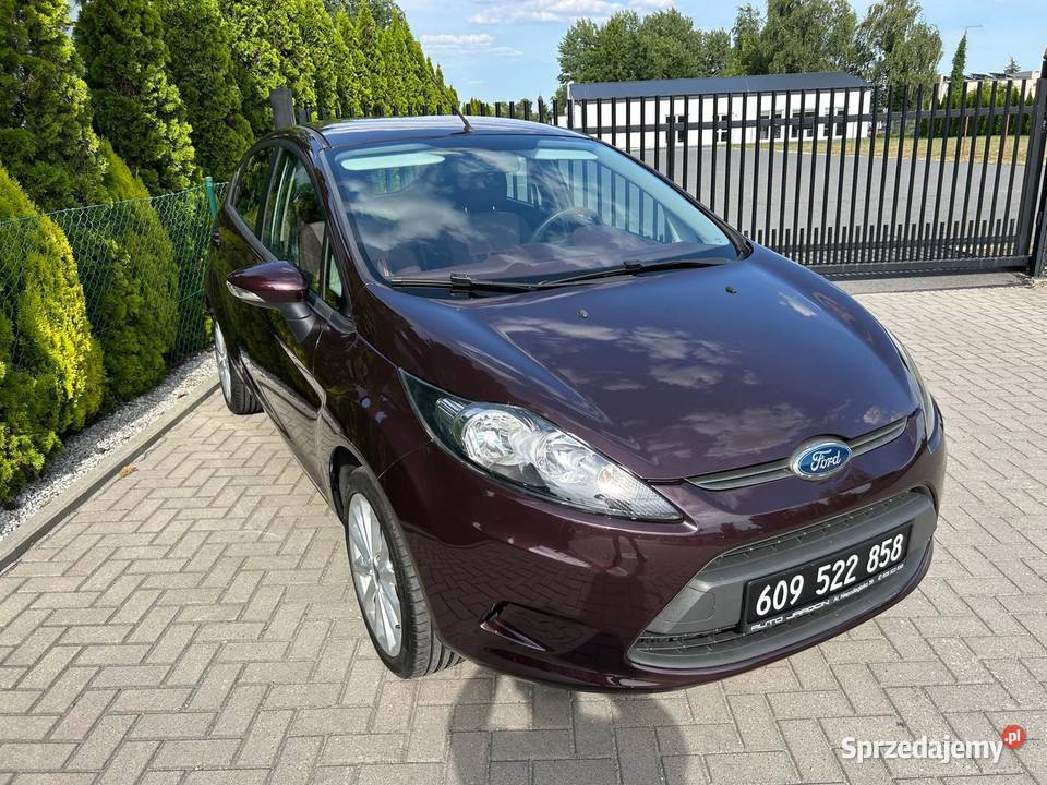 Ford Fiesta 13 L Benzyna Klima 5 drzwi 2009 60KM Jarocin sprzedam