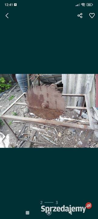 Krajzega z piłą i wałkiem Pińczów