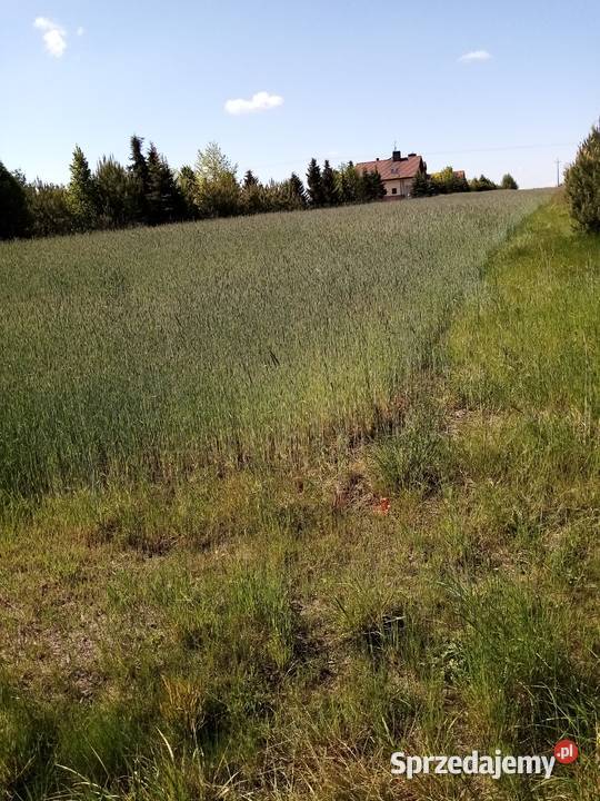 DZIAŁKA BUDOWLANA 30 arów prąd