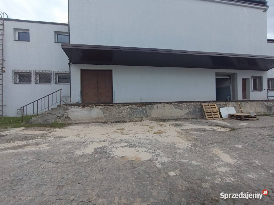 wynajmu lokalu Kielce Oskara Kolberga 200m2