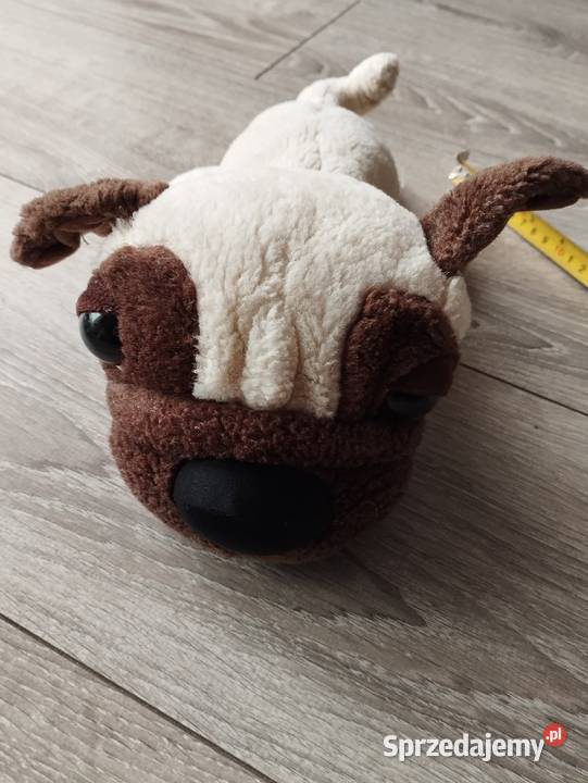 pies pluszak maskotka kolejny wielkopolskie Poznań