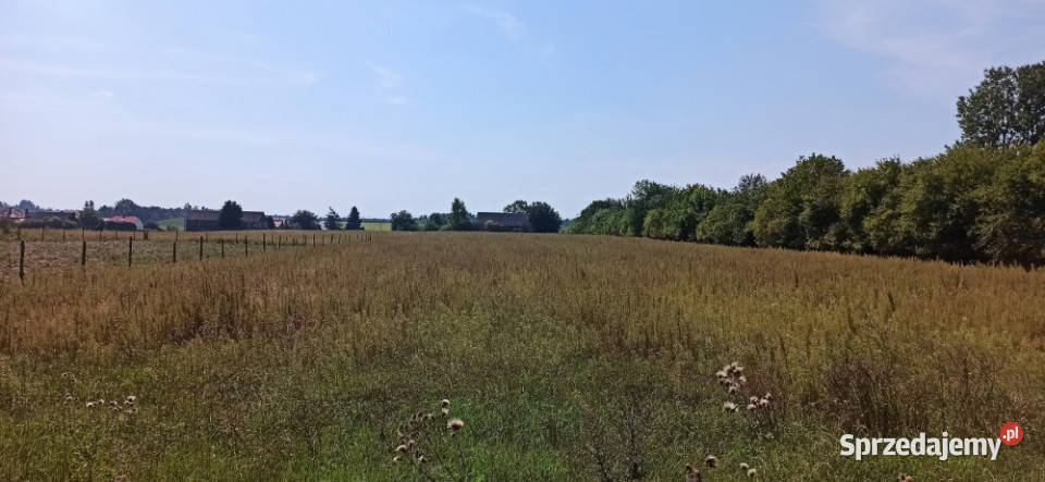 Siemiatycze Żeromskiego DZIAŁKA BUDOWLANA 1000m2