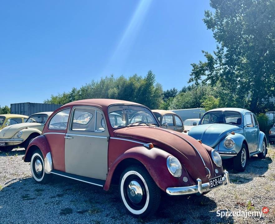 VW Garbus 1300 Ruby Red 1966 34KM dolnośląskie Wrocław