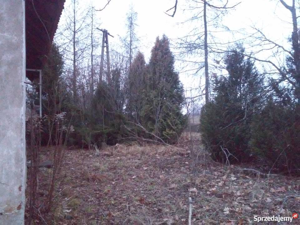 Sprzedam dom i działkę 20 ar do negocjacji Jurki