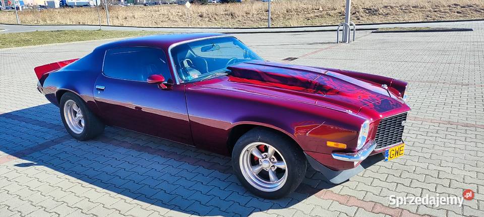 Chevrolet Camaro pomorskie Reda