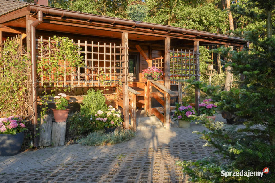 Działka leśna z domkiem na sprzedaż Rozniszew sprzedam