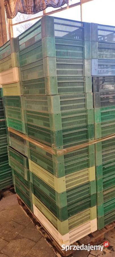 Skrzynki plastikowe A12 mazowieckie Boglewice