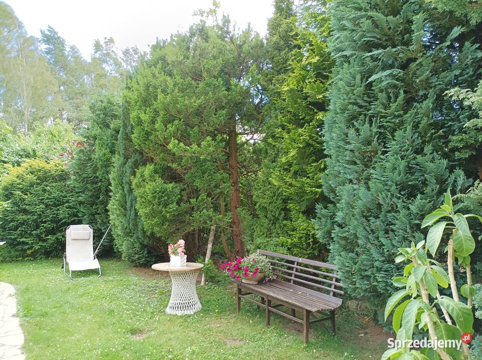 Dom w otoczeniu lasu basen Warzenko sprzedam pomorskie