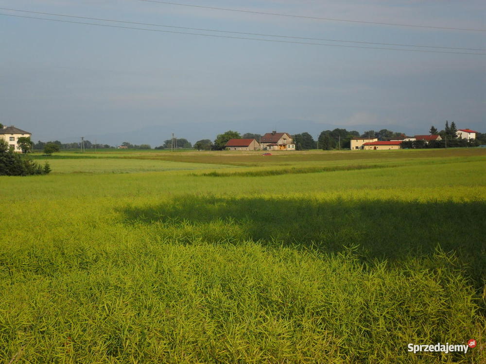 Działka budowlana PRUCHNA Cieszyn sprzedam