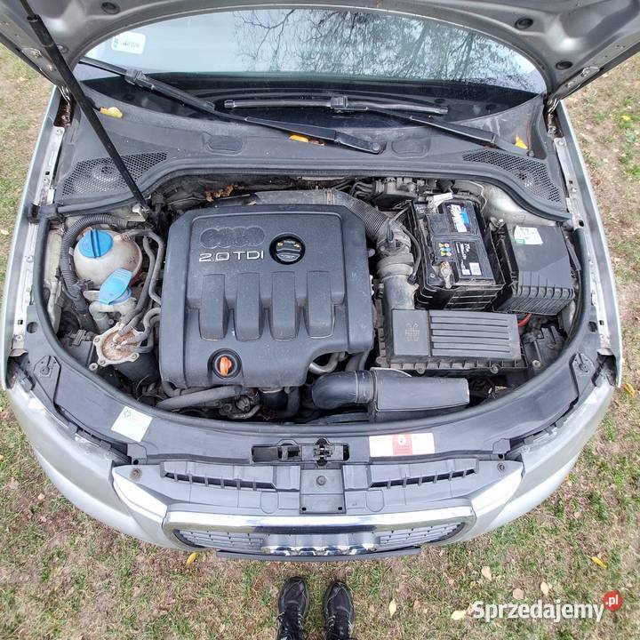 Audi A3 8P 20 TDI 2004 Dalekie