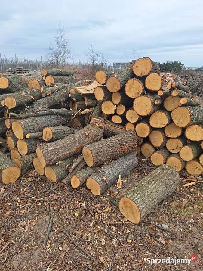 Drewno drzewo opałowe JABŁOŃ DĄB Grójec
