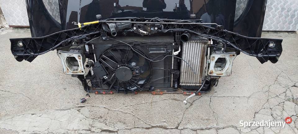 PAS PRZEDNI KOMPLETNY FOCUS MK3 20 TDCI LAK FB Pasy przednie i tylne Międzychód