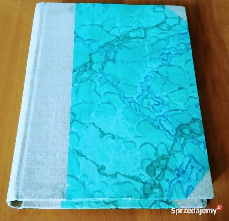 Wspomnienia i przyczynki historyczne Jan historia, archeologia