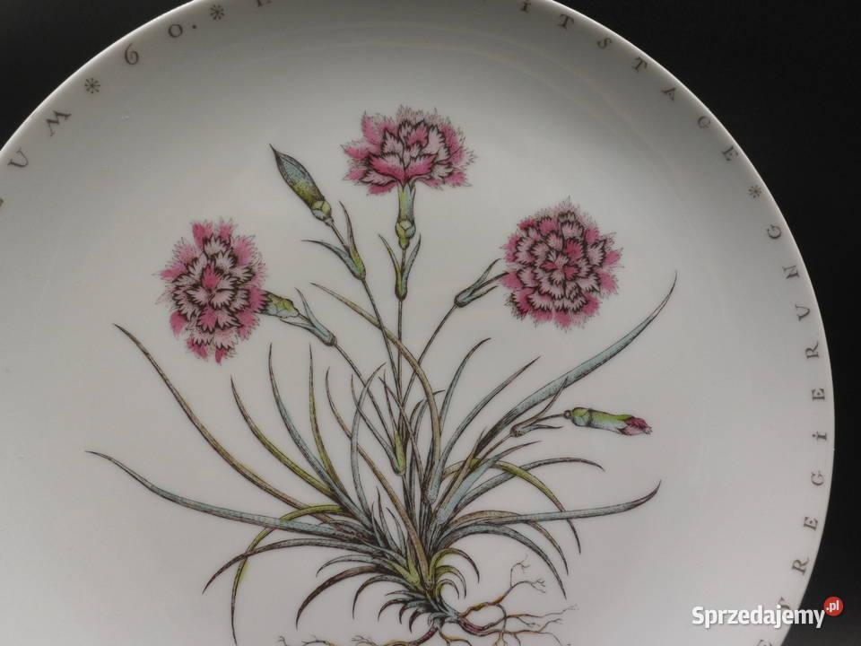 Porcelanowa pateratalerz Furstenberg Botanica wielkopolskie Raszków sprzedam