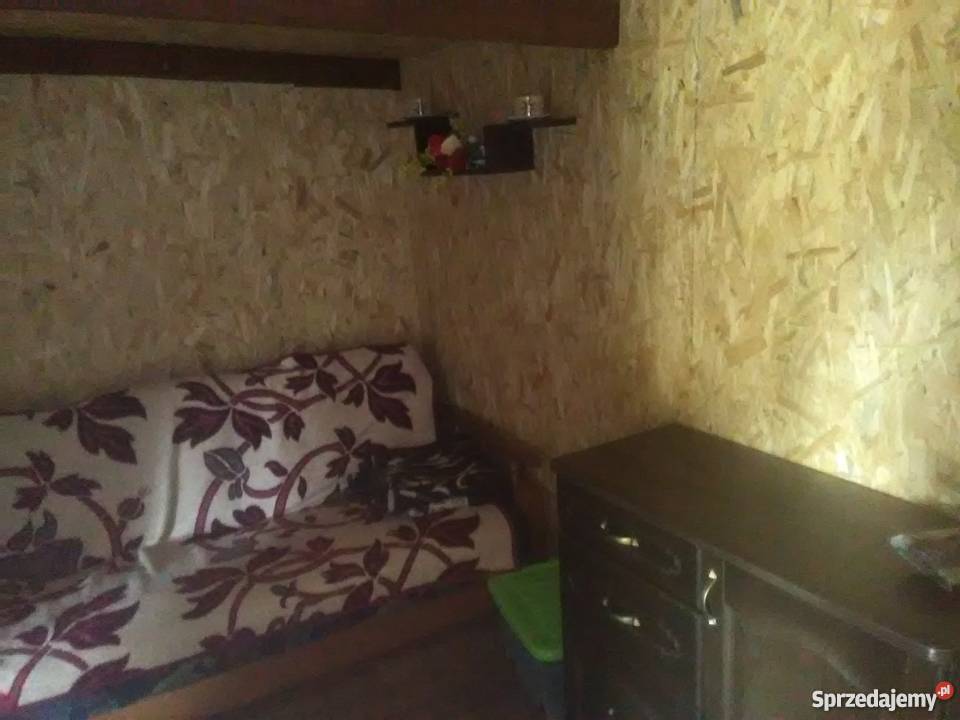 Sprzedam działkę rekreacyjną ROD Wiarus Toruń