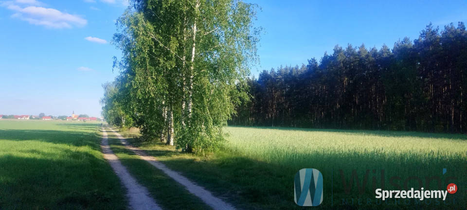 Ogłoszenie mieszkanie 47m2 3pokojowe Miłoszyce miejsce parkingowe sprzedam