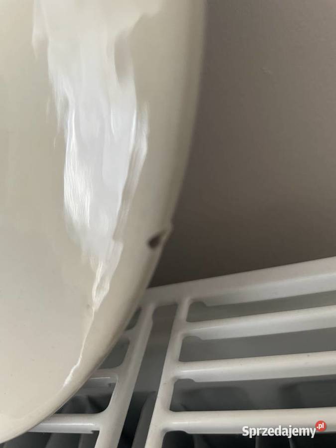 Włocławek fajansowa płytka dekoracyjna pomorskie Pruszcz Gdański sprzedam