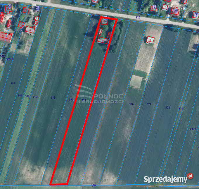 Piękne siedlisko w Alojzowie gmina Leśniowice lubelskie Alojzów