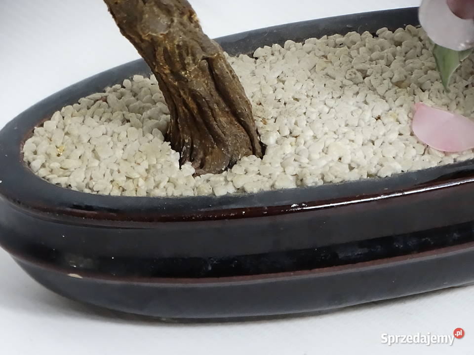 Chińskie Drzewko Bonsai Kwitnące Szkło Kamień