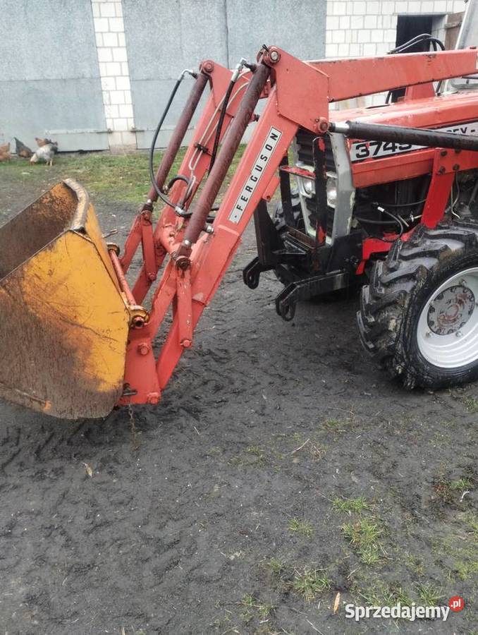 Massey Ferguson 374s Gościeradów-Folwark