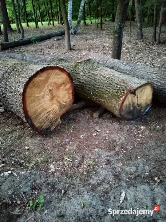 Sprzedam kłócę dębowe podkarpackie Nagoszyn
