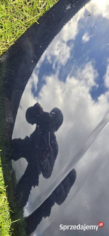 Maska A8 D3 2005 mazowieckie Solec nad Wisłą