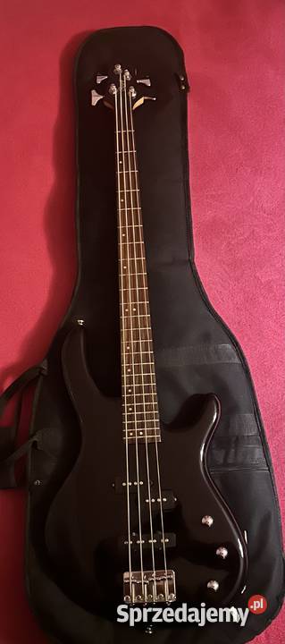 Sprzedam gitarę basową Cort w idealnym stanie podkarpackie Przemyśl