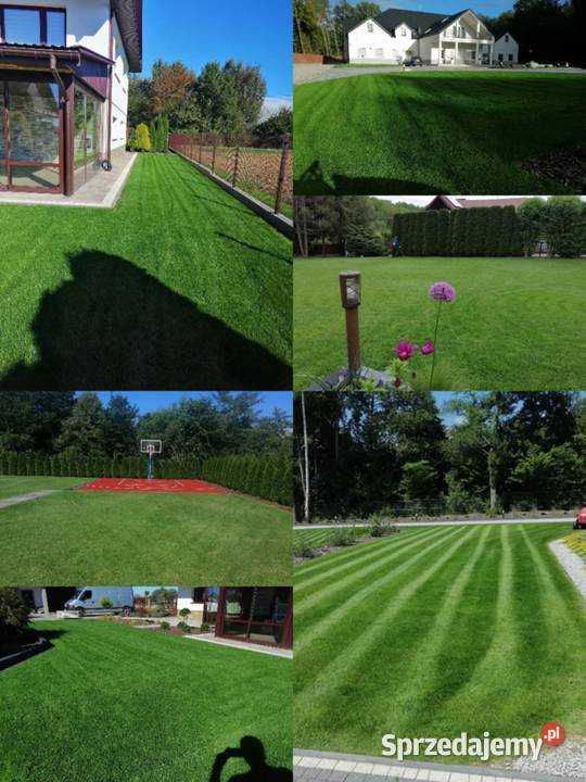 Usługi Ogrodnicze Cięcie Drzew i krzewów Tarnów