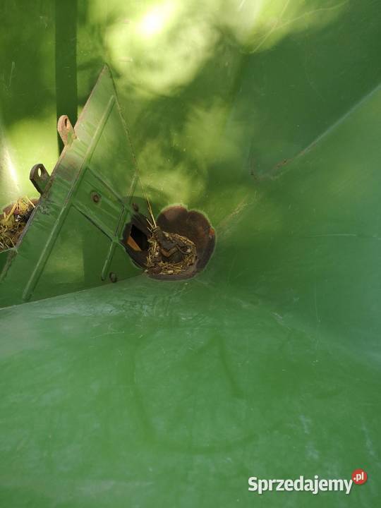 Rozsiewacz do nawozów Amazone F 603 Baborów