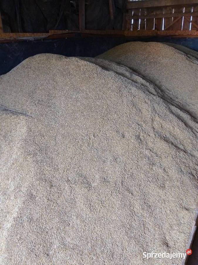 Sprzedam owies 650 brutto Faktura VAT Rokitno sprzedam