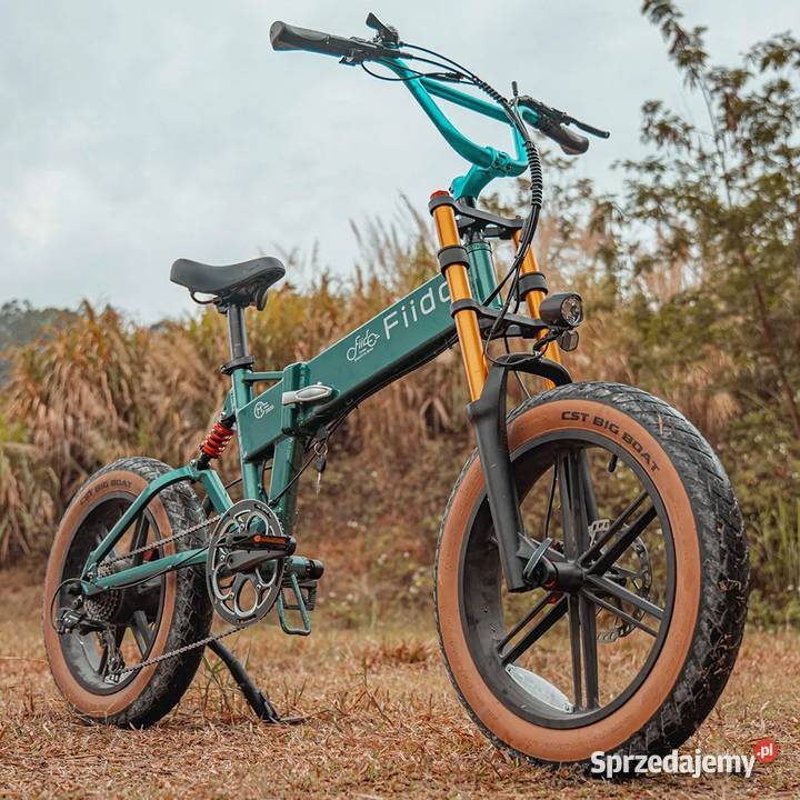 FIIDO M1 PRO 2025 retro składany fat 250W 55Nm Tarnobrzeg