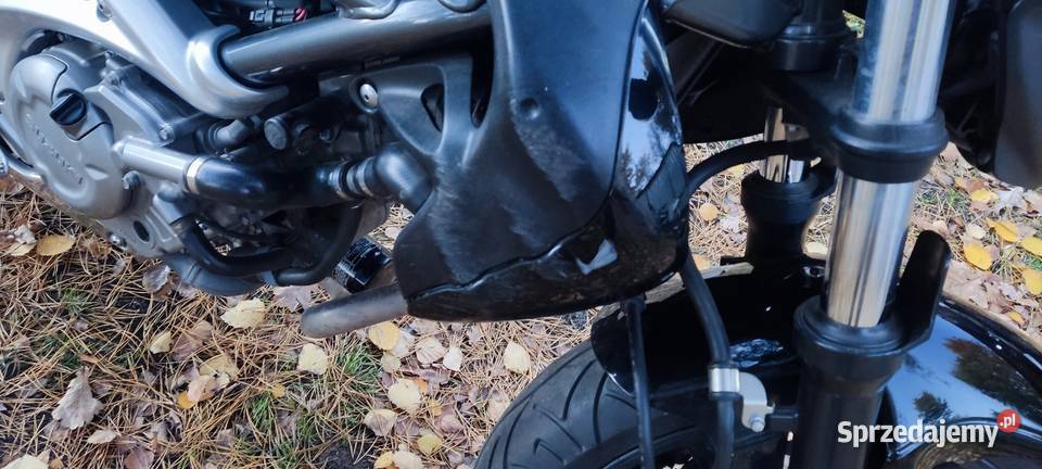 Suzuki Gladius SFV650 Ruda Śląska