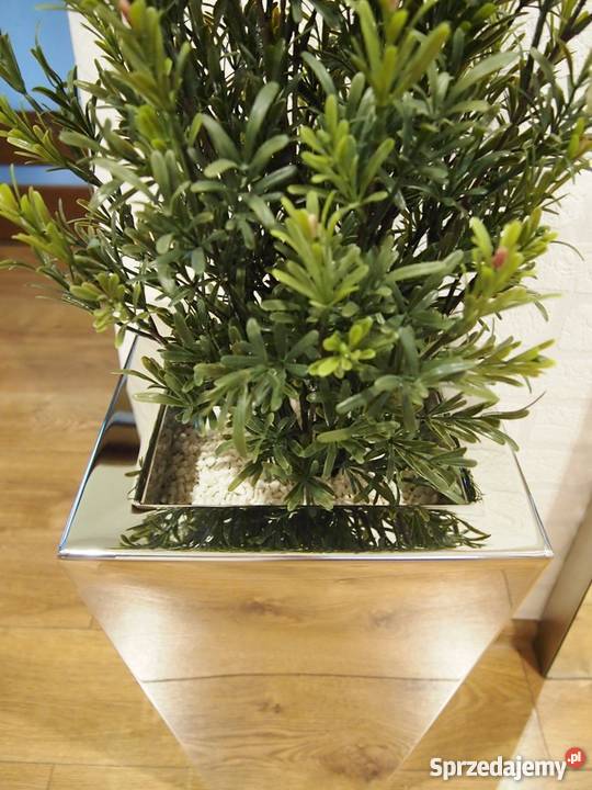 Duże Nowoczesne Donice do Biur Hoteli Luksusowe małopolskie Kraków